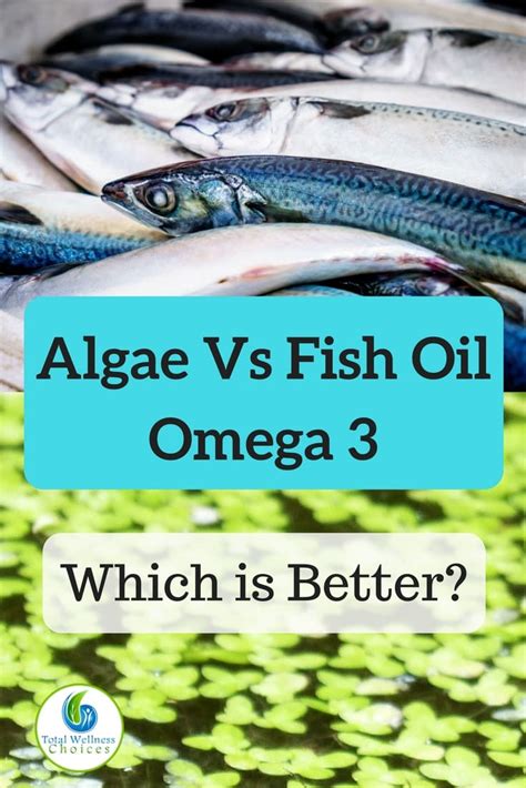 algae supplements vs fish oil.